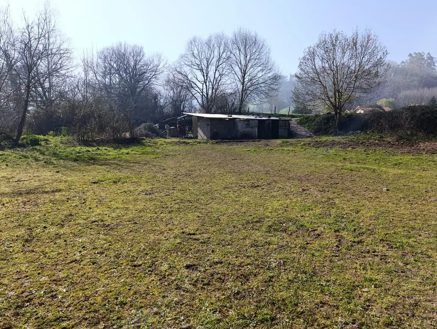 Terreni e lotti in vendita a Selaya - LA MIES, imagen 11