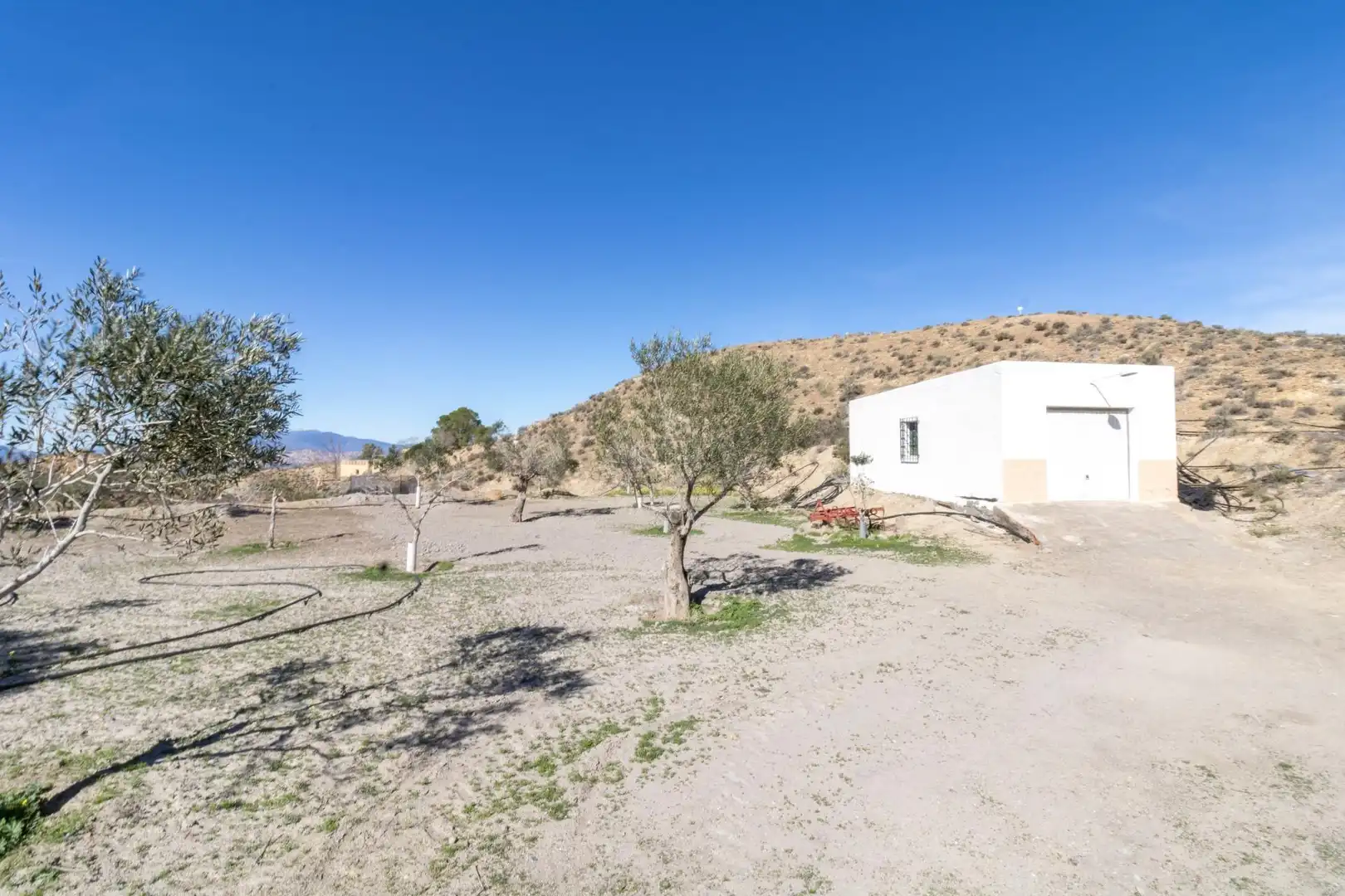 Rustikales Grundstück zum Verkauf in Tabernas, imagen 40