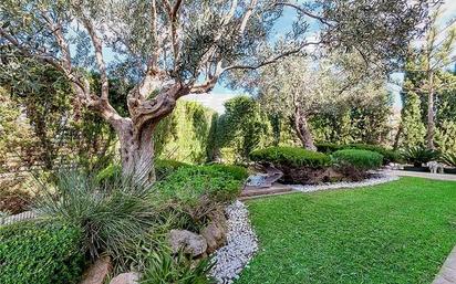 Jardí de Casa o xalet en venda en Llucmajor amb Aire condicionat, Terrassa i Piscina