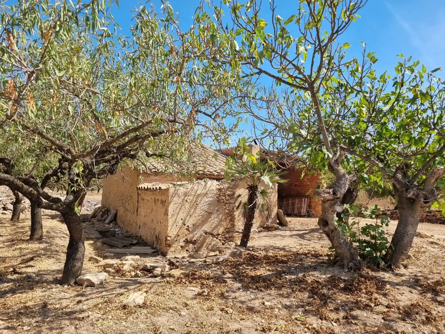 Residential zum Verkauf in poligono 72 parcela 26, Tivissa