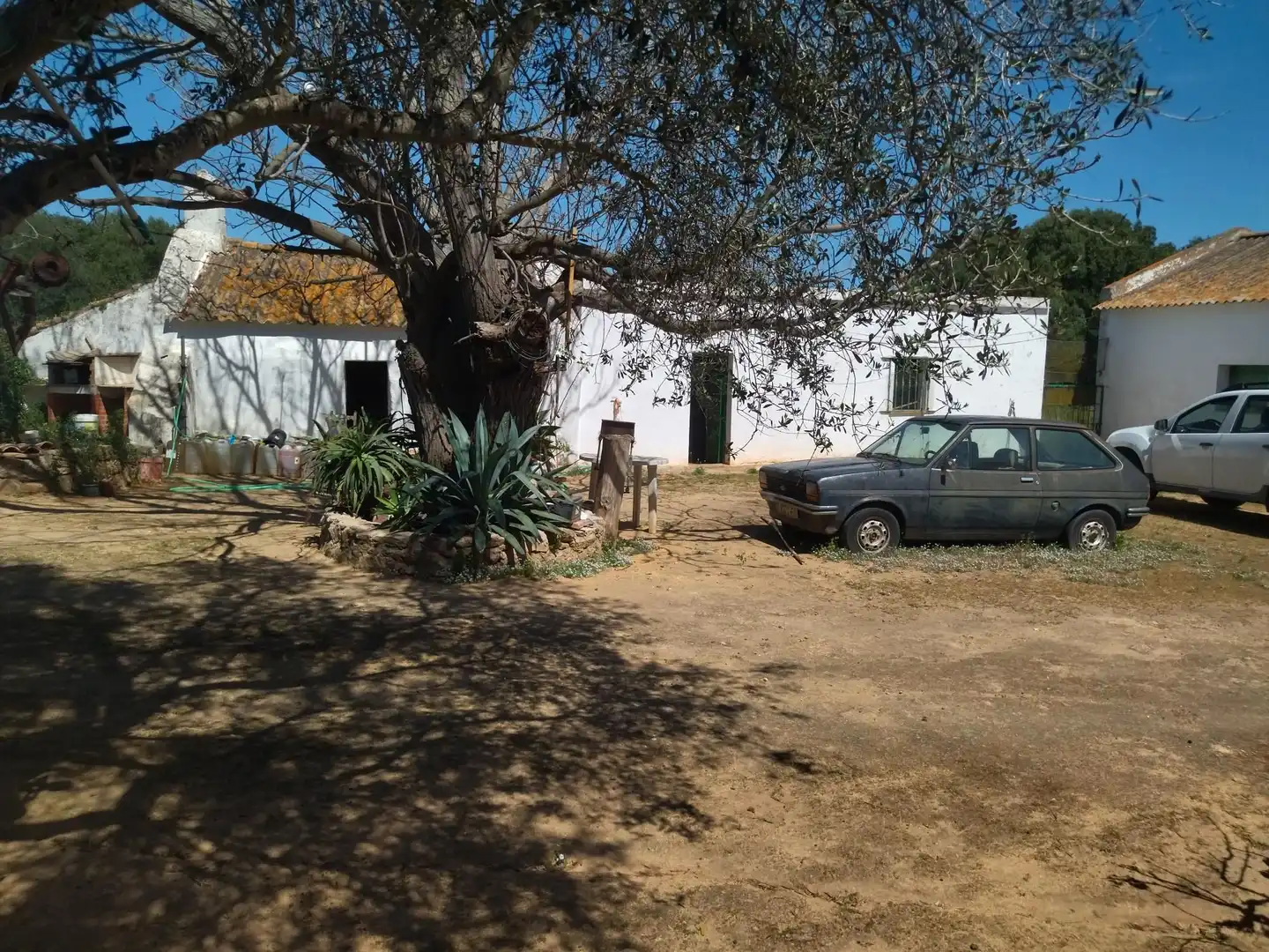 Casa rústica amb jardí en venda a N/A, imagen 6