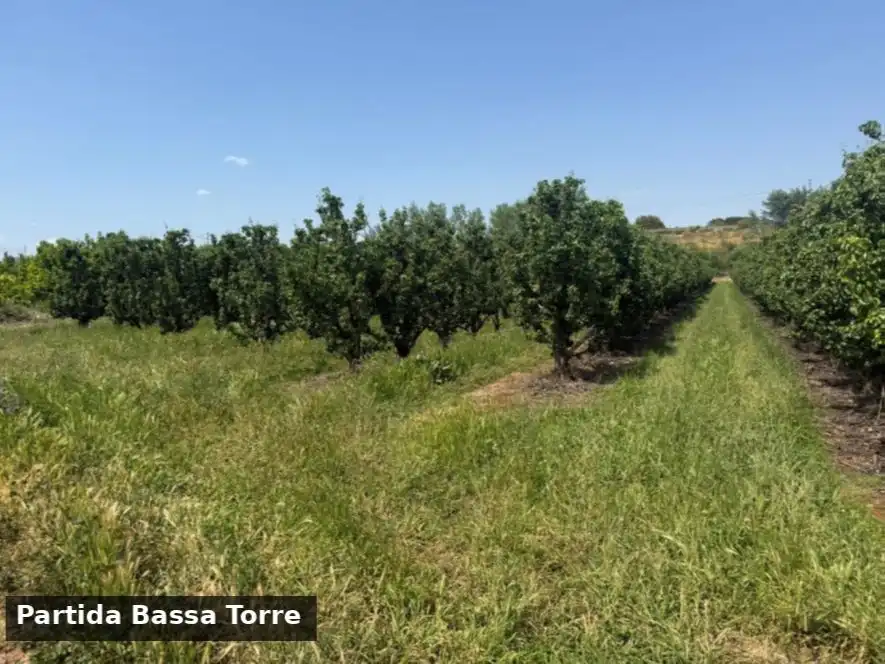 Terreno en venta en Puigverd de Lleida, Lleida