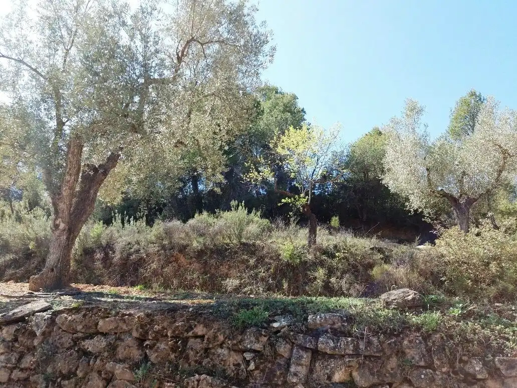 Terreni e lotti in vendita a Cretas, imagen 6