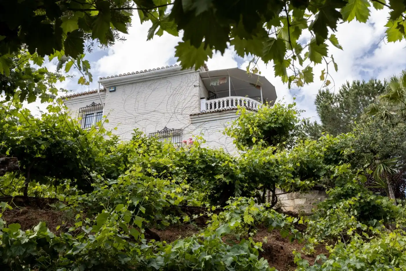 Vista exterior de Casa o chalet en venta en Dúdar con Aire acondicionado, Calefacción y Jardín privado