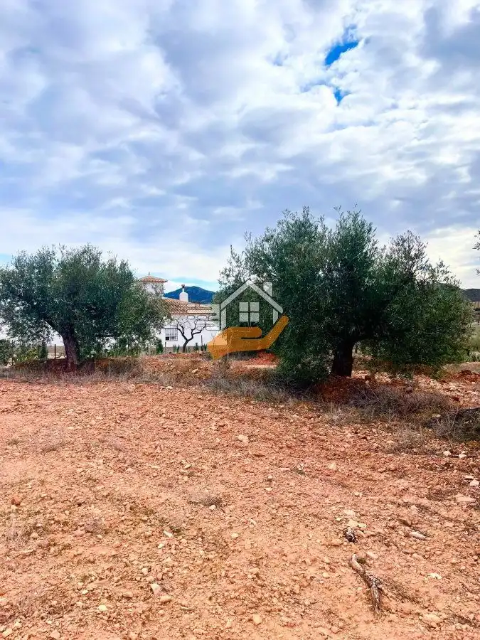 Residential land for sale in Vélez-Rubio, imagen 7