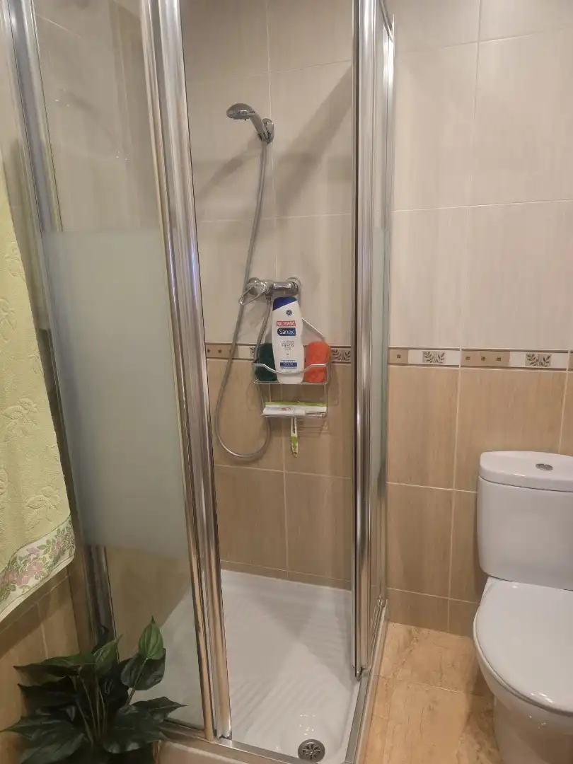 Baño de Casa o chalet en venta en Centro
