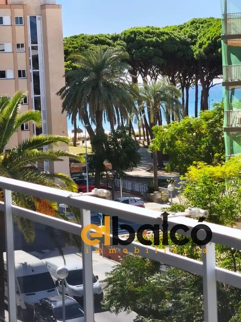 Flat for sale in Carrer d'Emili Vendrell, 4, La Pineda