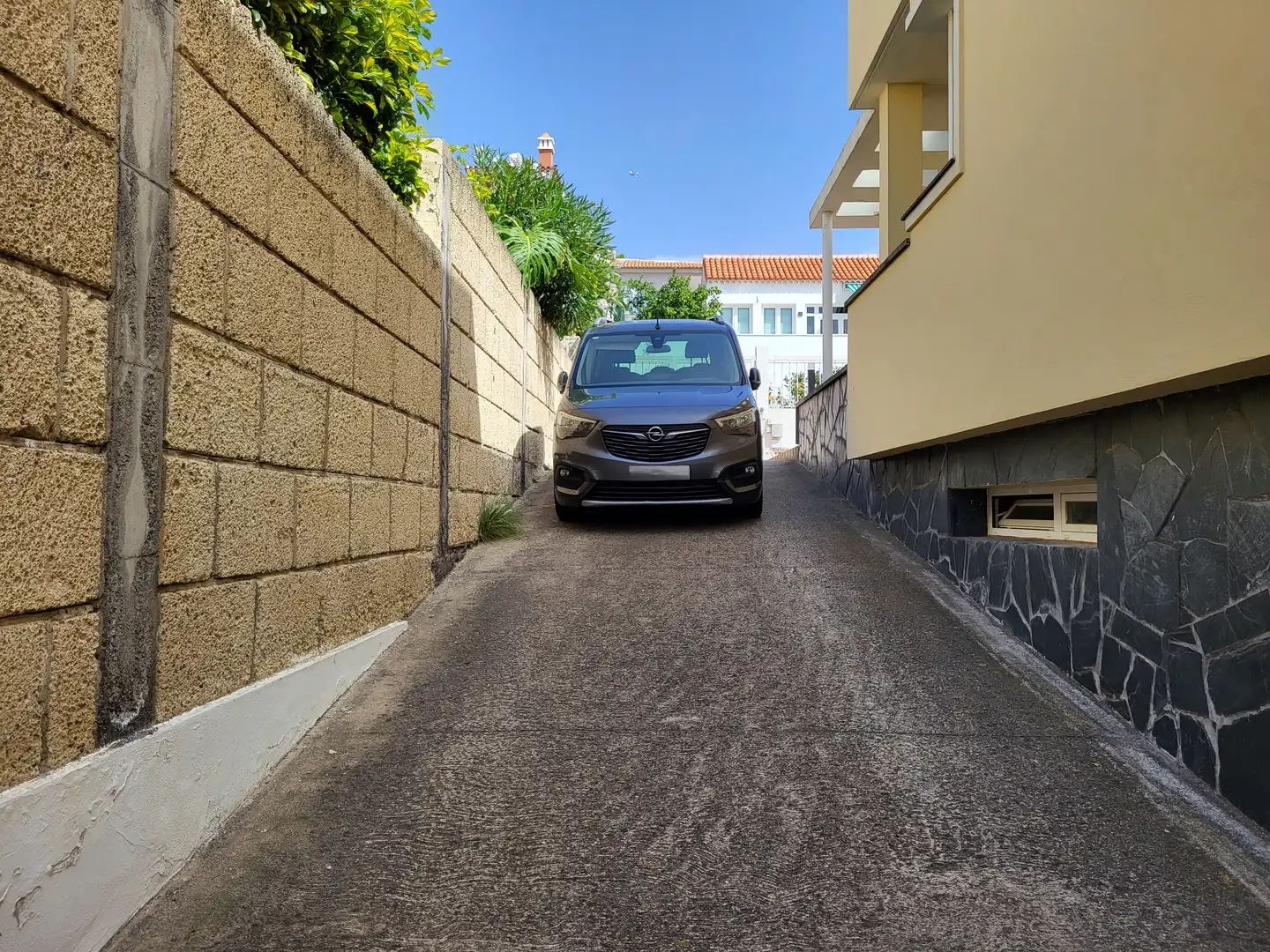 House with terrace for sale in Zona Botánico, imagen 33