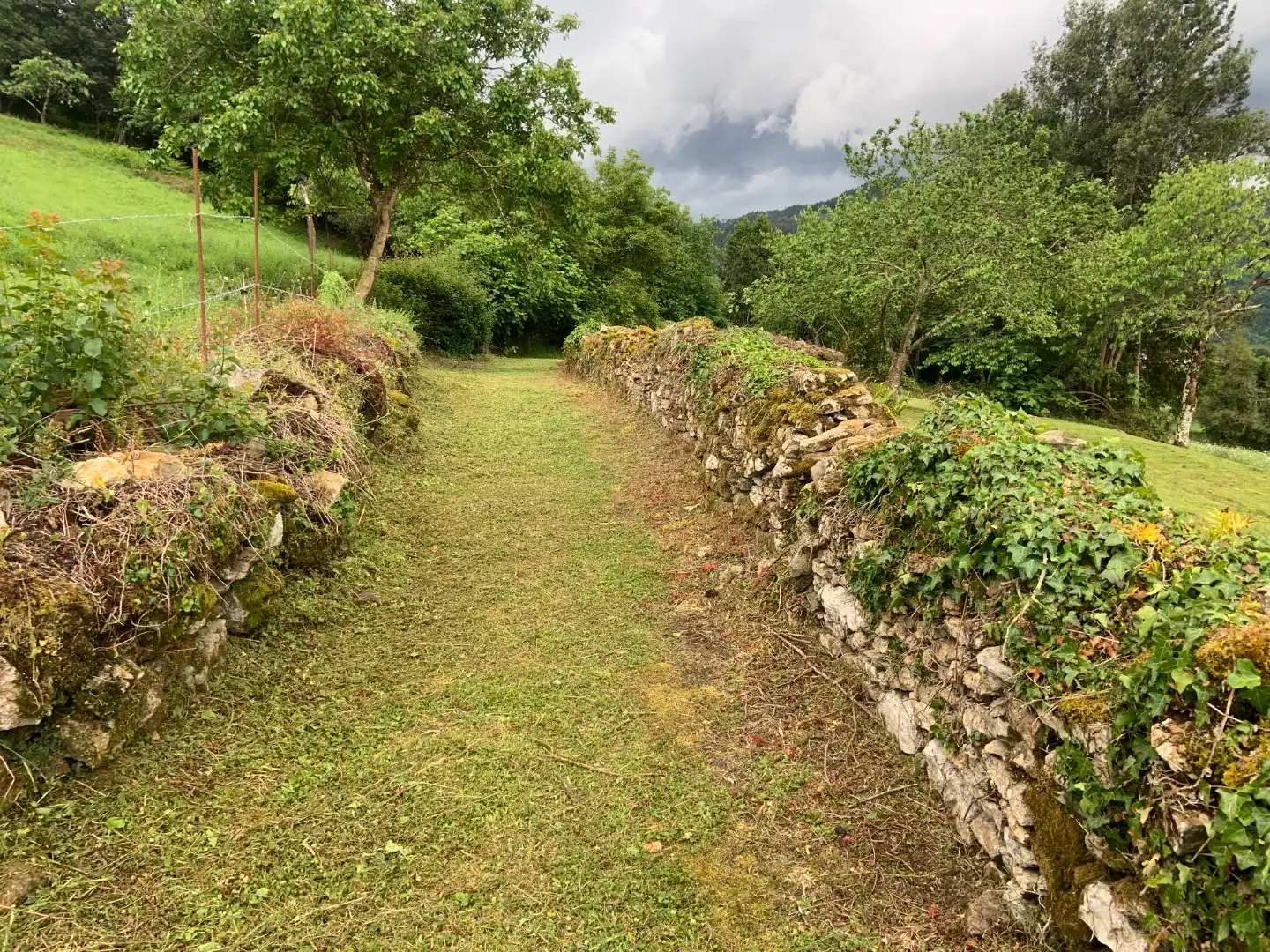 Jardín de Terreno en venta en Candamo