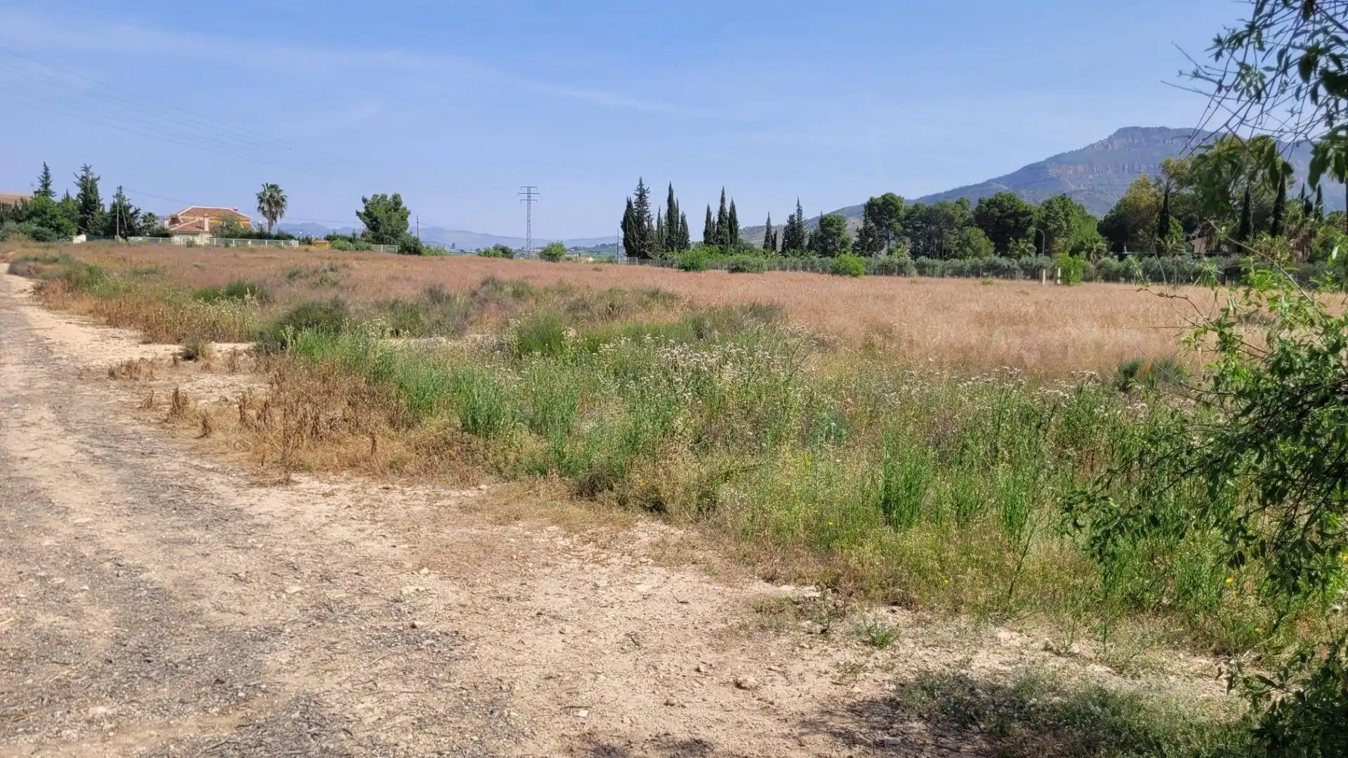Land for sale in Blanca