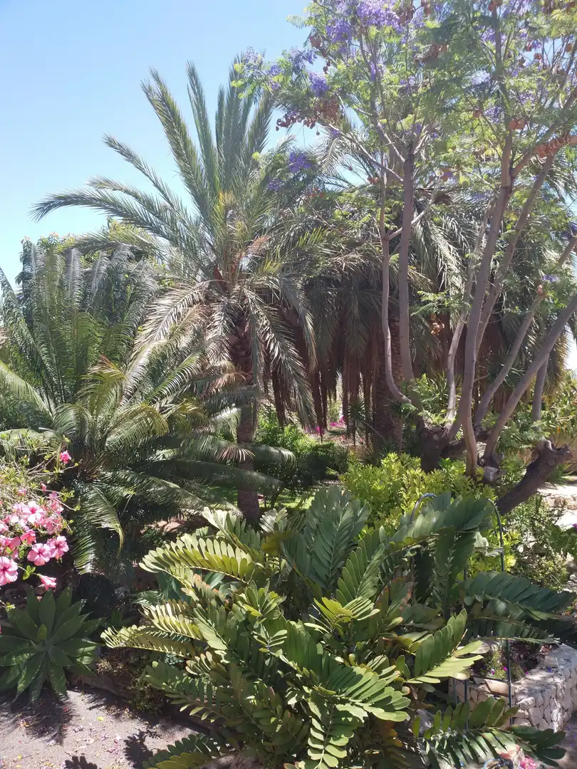 Jardí de Casa o xalet en venda en Calpe / Calp amb Aire condicionat, Jardí privat i Piscina