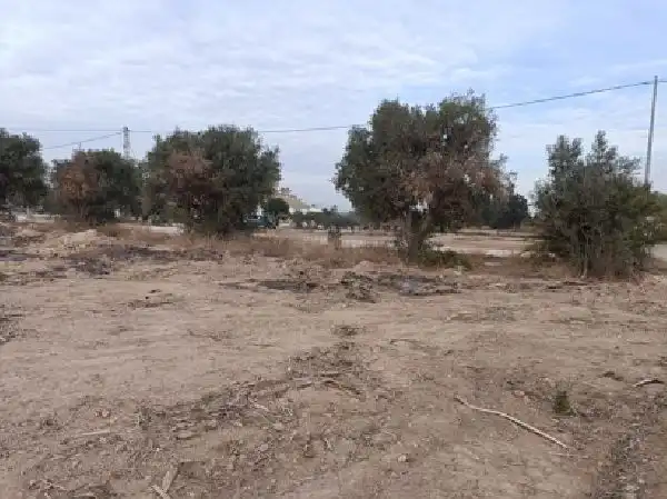 Casa aparellada en venda a La Foia - Daimés - Asprella, imagen 6