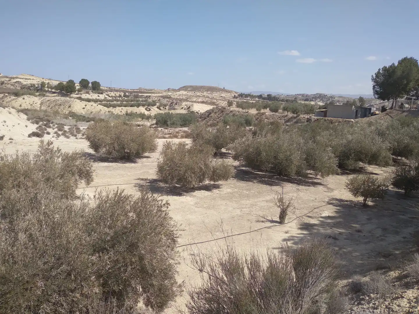 Terreni e lotti in vendita a Campos del Río, imagen 18