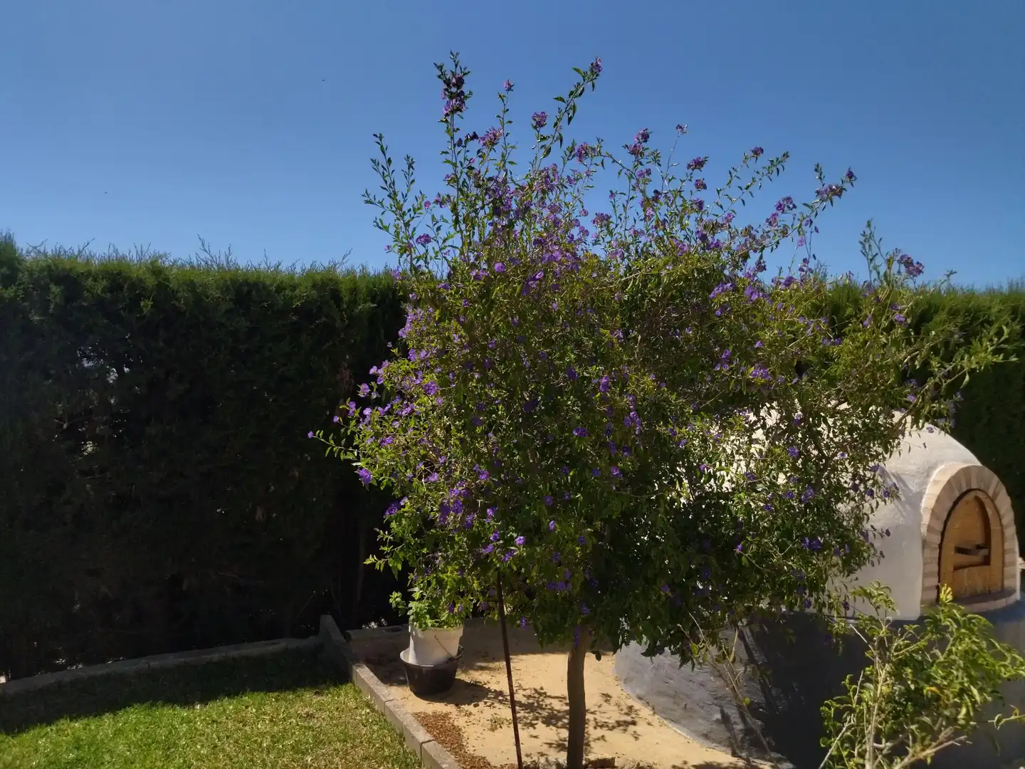 Casa rustica con giardino in vendita a Vejer, imagen 29