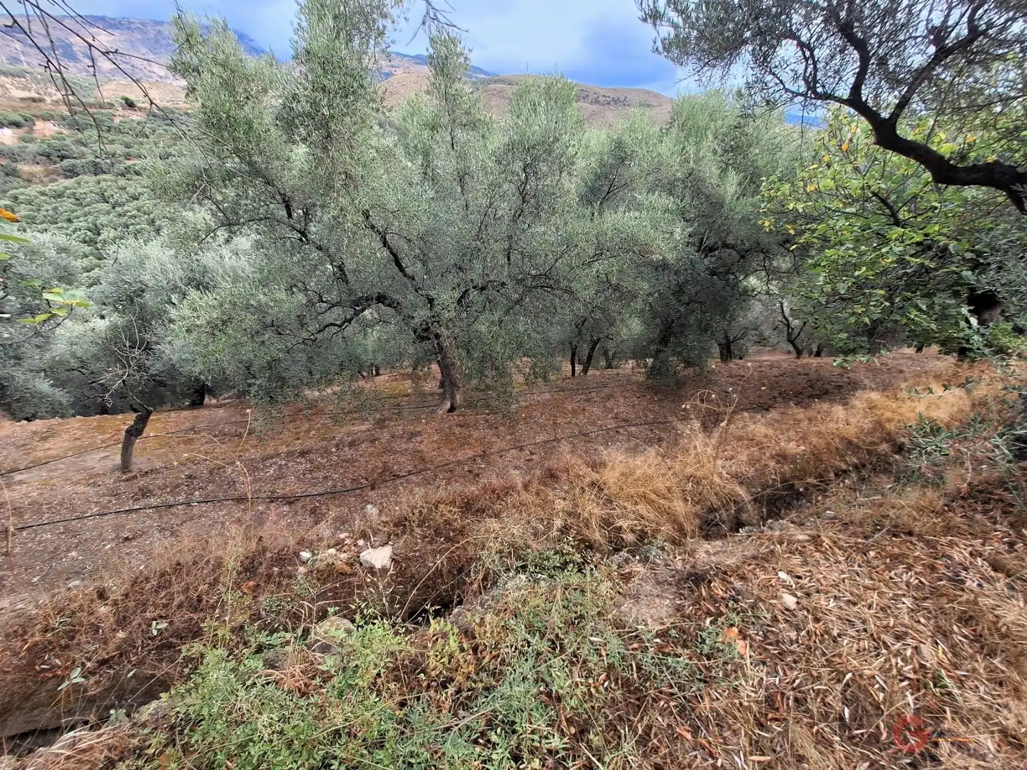 Casa rústica en venda a Lanjarón, imagen 16