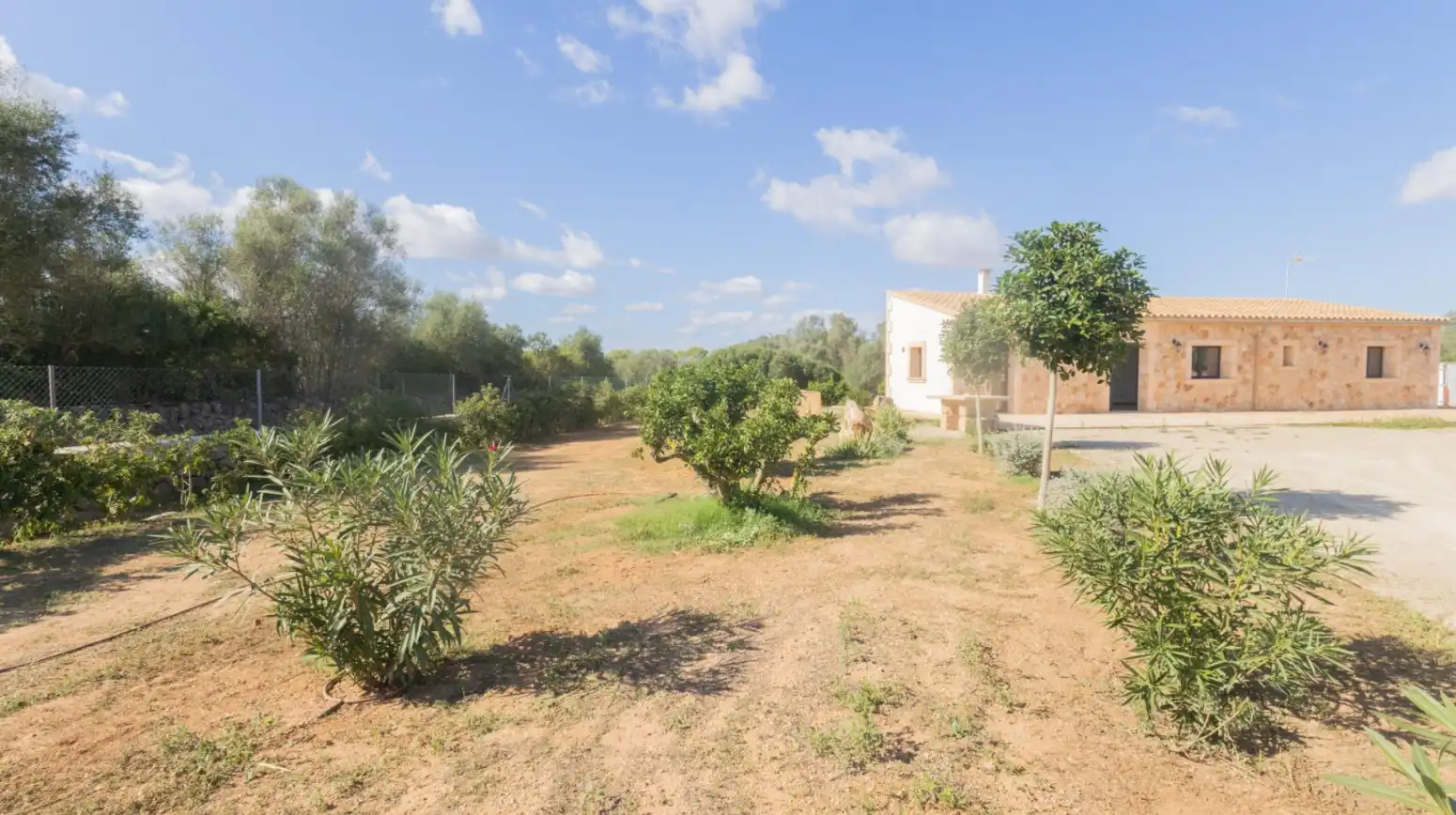 Houses for rent in Felanitx - Carrer SANT AGUSTI F, Felanitx Poble