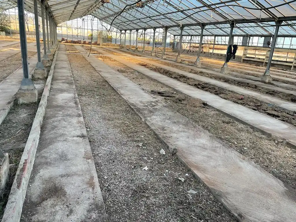 Nave industrial en venta en Catadau, imagen 5