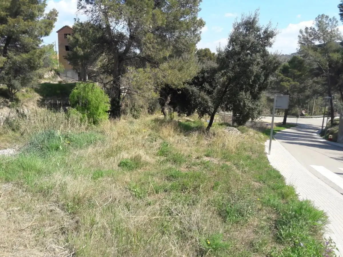 Residential land for sale in Calle DE LA ALZINA, imagen 6