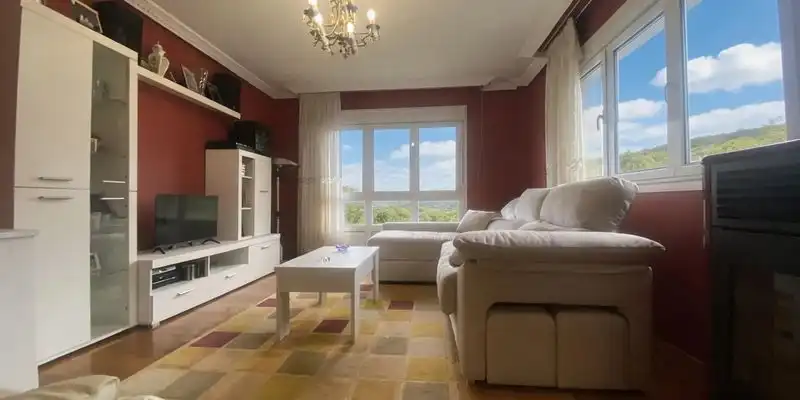 Sala de estar de Casa o chalet en venta en Cangas del Narcea con Jardín privado, Terraza y Trastero