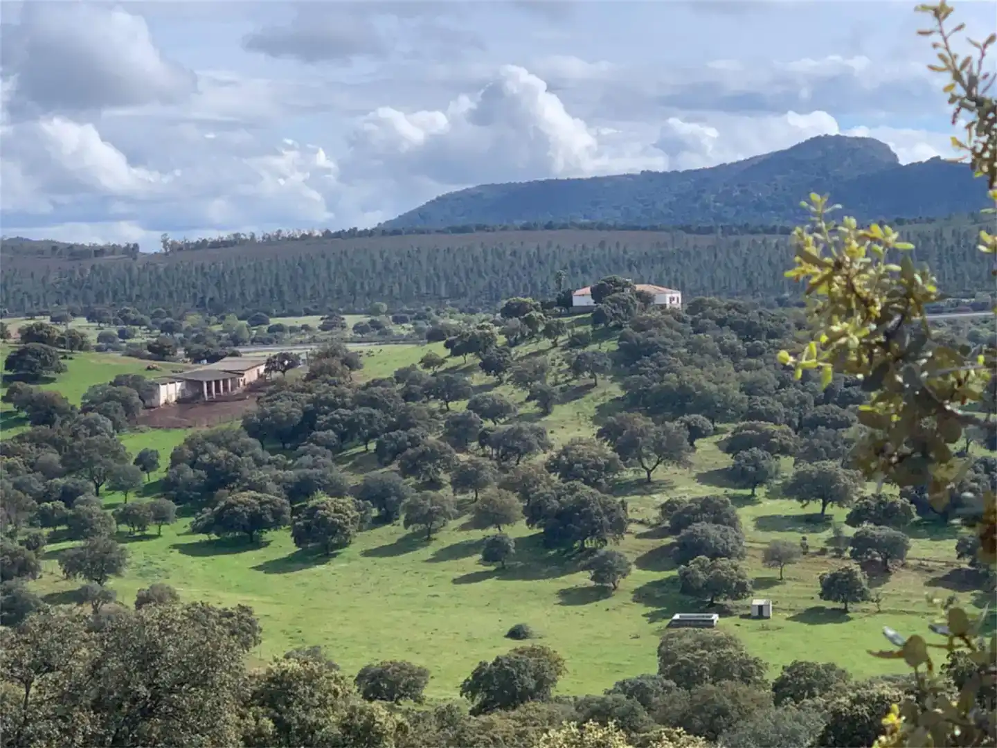 Exterior view of Country homes for sale in Garbayuela  with Private garden, Storage room and Swimming Pool