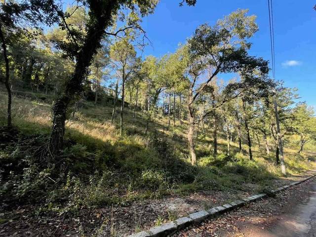 Terreno residencial en Venta en Calle Font,De la, 7 en Moià