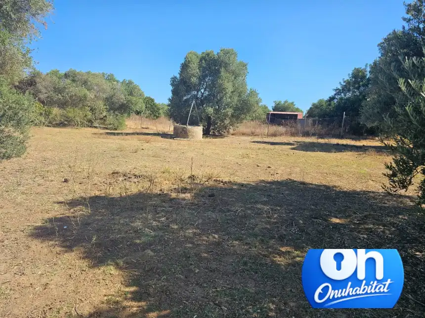 Terrenos y solares en venta en Gibraleón, imagen 14