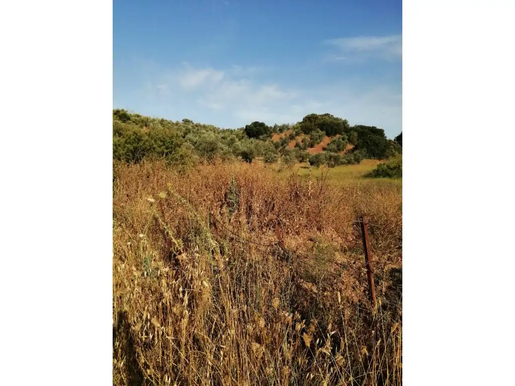 Residential for sale in Morón de la Frontera