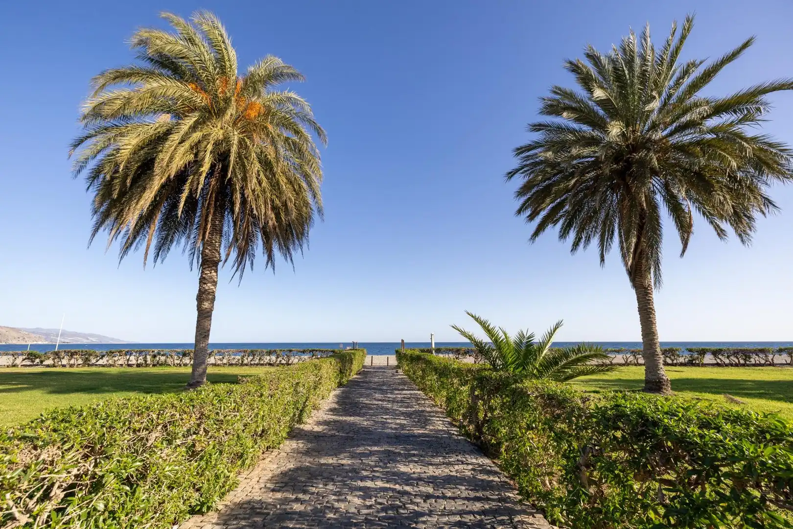 Exterior view of Flat for sale in Lújar  with Private garden, Terrace and Balcony