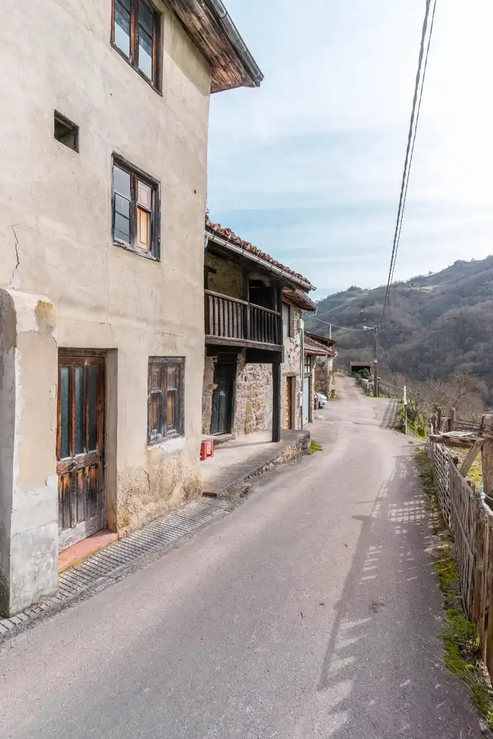 Vista exterior de Casa o xalet en venda en Laviana amb Jardí privat
