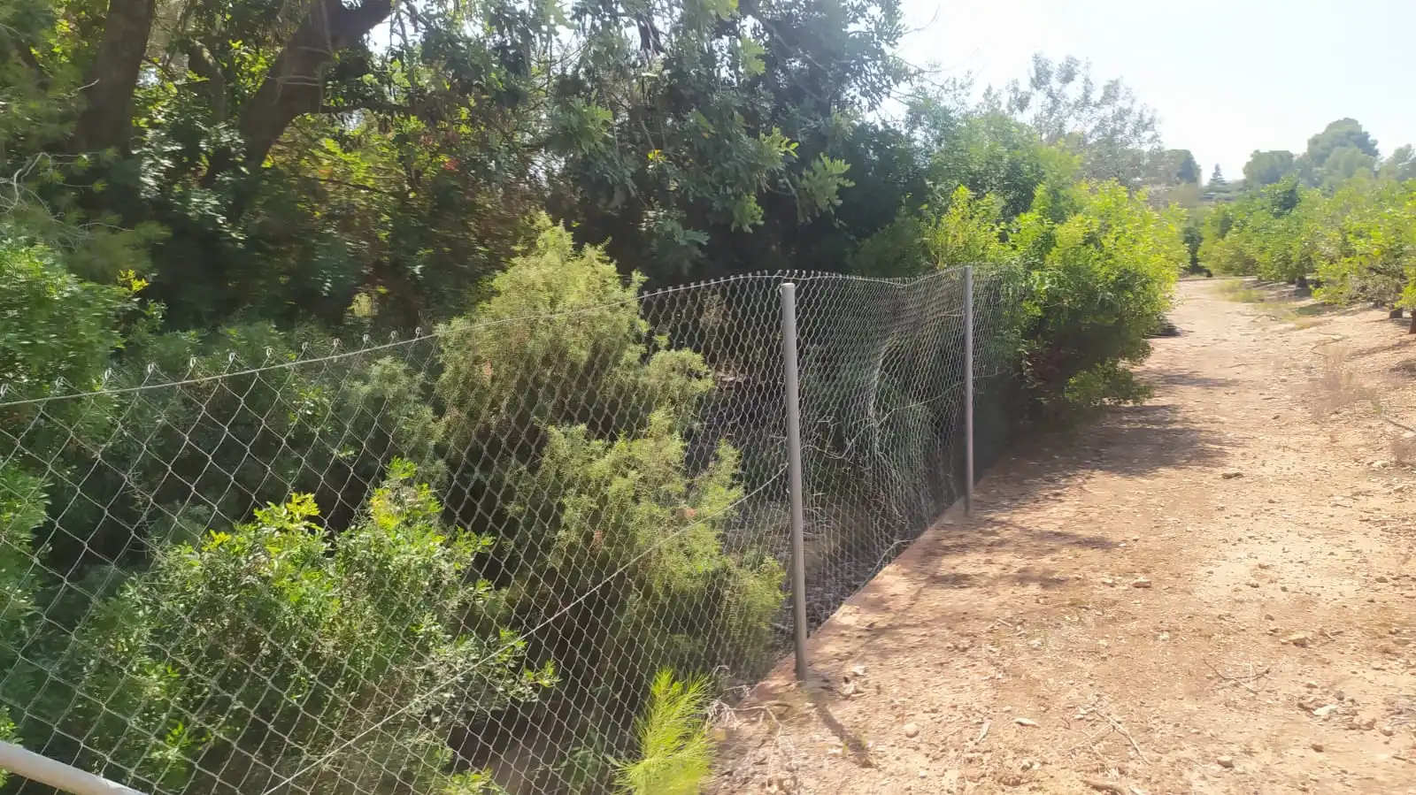Rural land for sale in La Conarda - Montesano