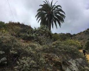 Land for sale in Vallehermoso