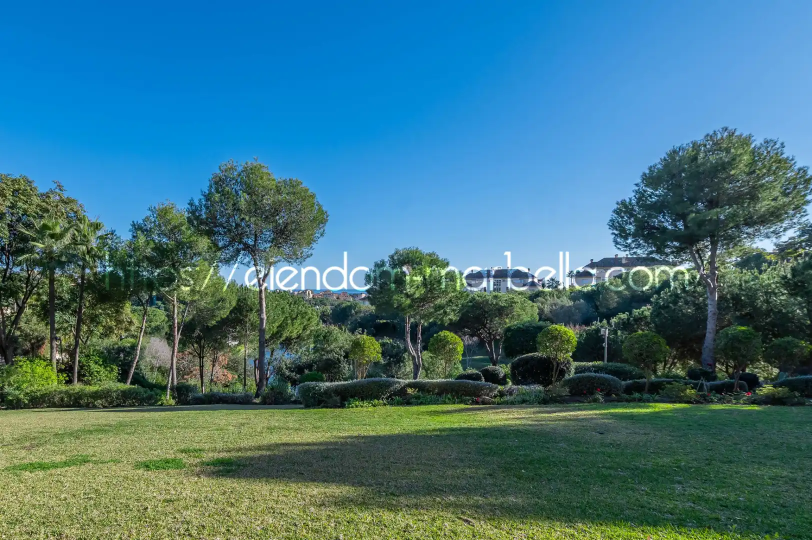 Planta baixa en venda a Avenida Giuseppe Filippa, Elviria