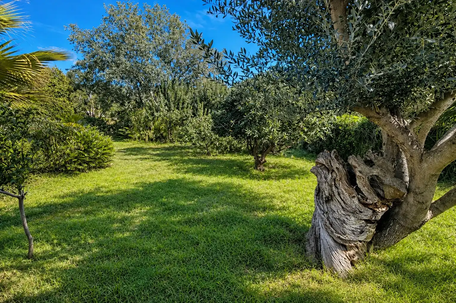 Maison avec piscine à vendre à Mas Santet, imagen 5