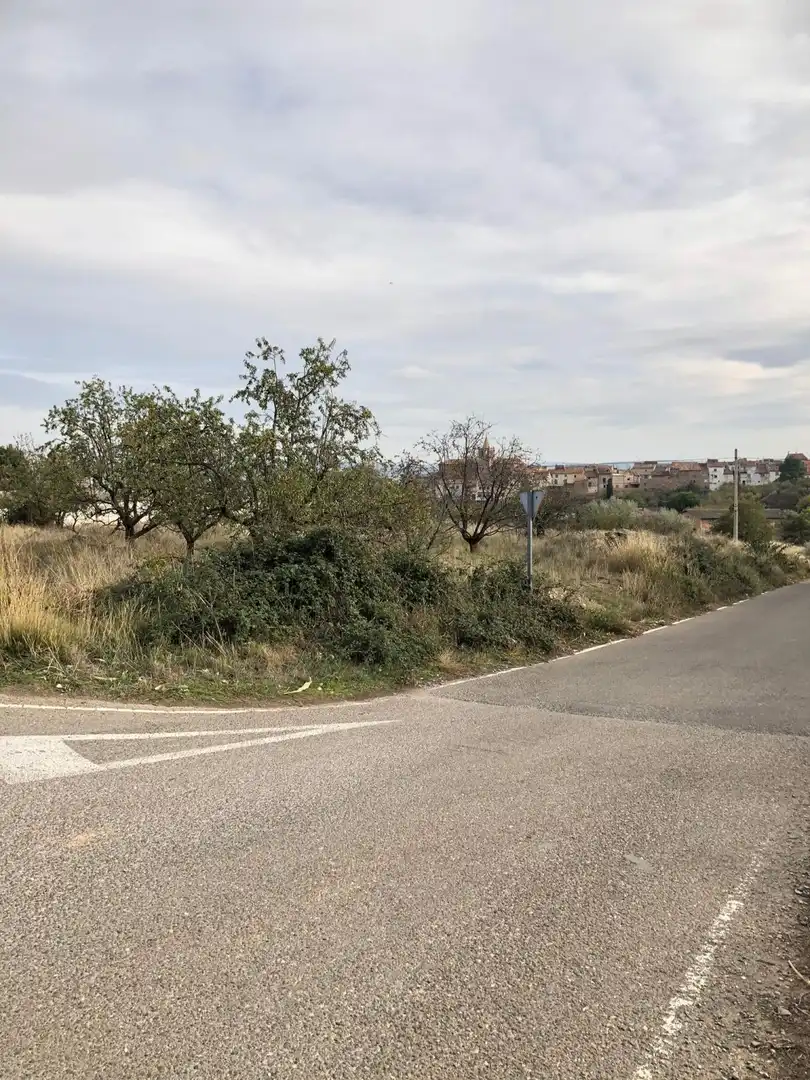Rural land for sale in Tarazona, imagen 2