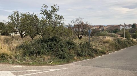 Immagine 2 dell'annuncio