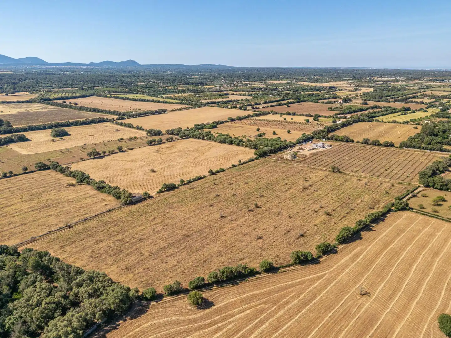 Rural land for sale in Sencelles, imagen 6