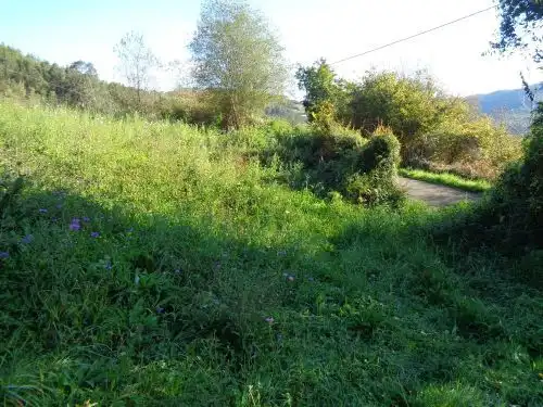 Terreno rustico in vendita a Parroquias suroccidentales, imagen 20