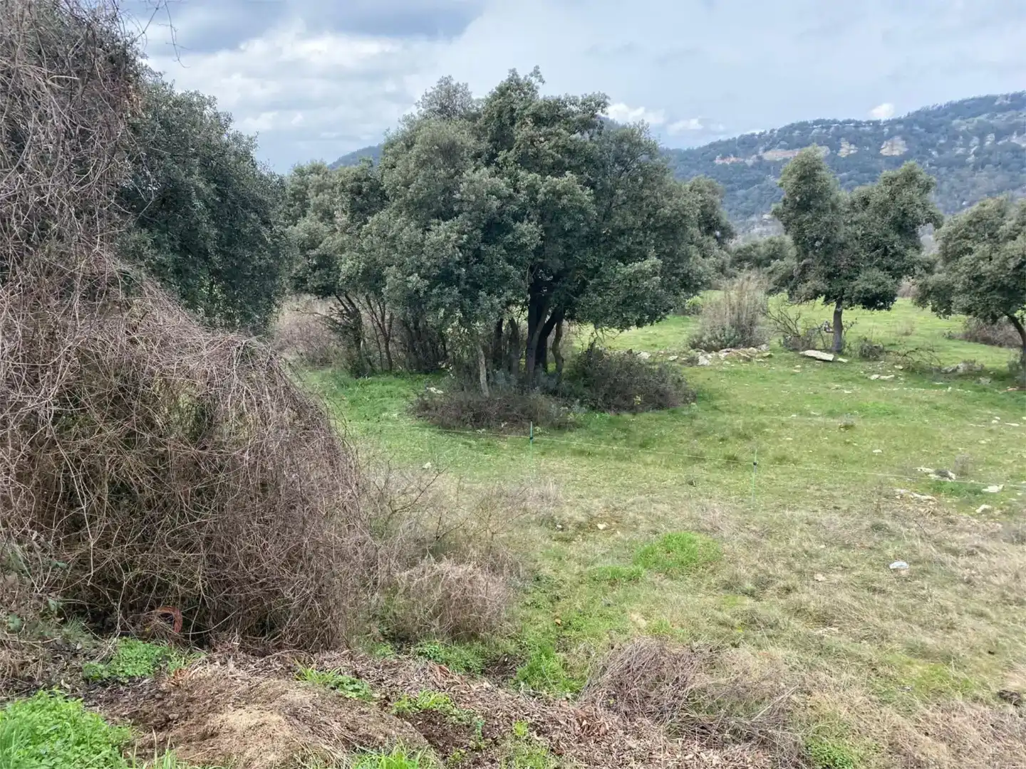 Terreno en venta en Tavertet