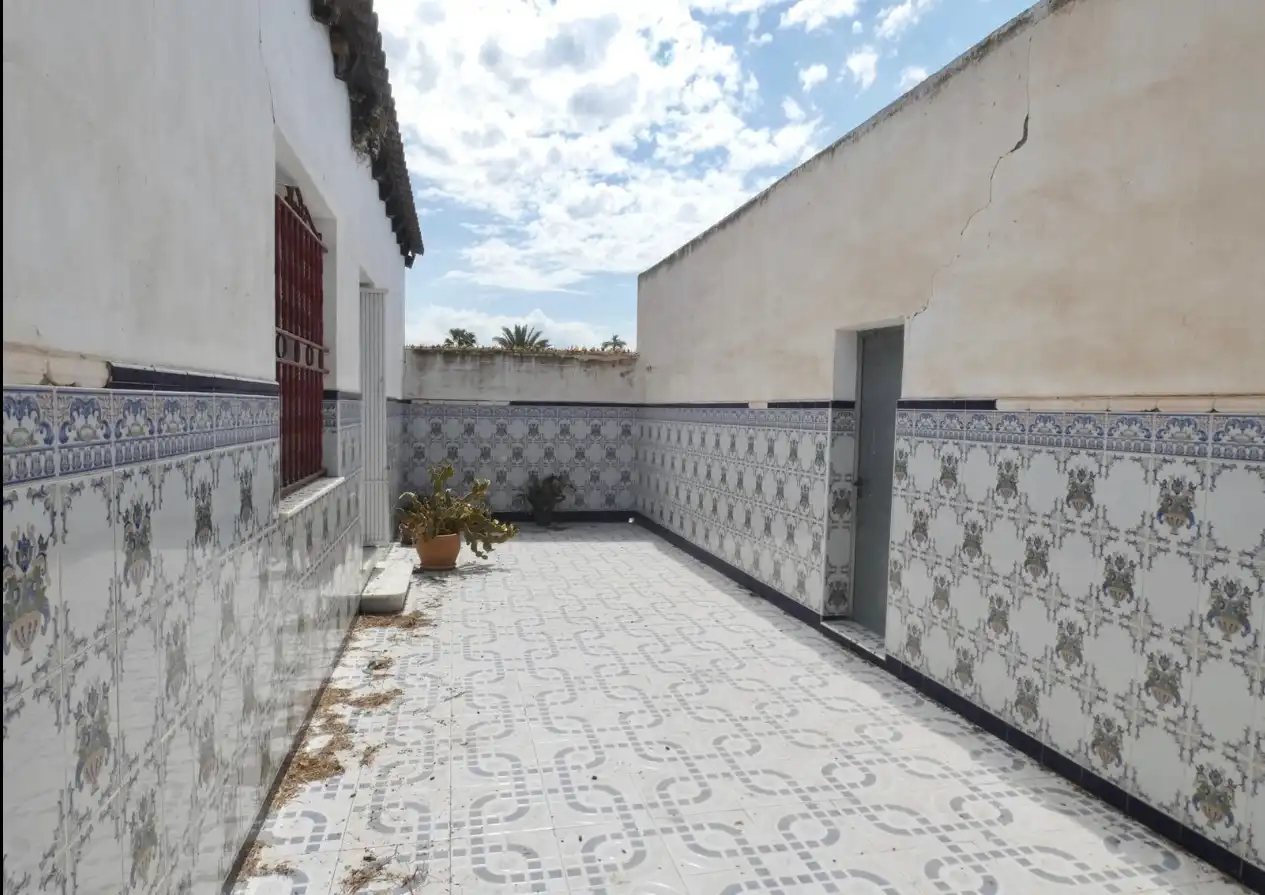 Vista exterior de Casa o chalet en venta en Crevillent con Aire acondicionado y Jardín privado