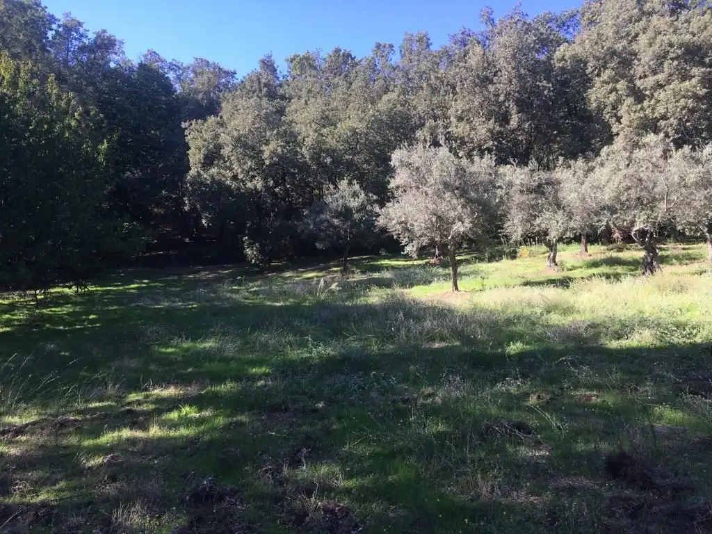 Terreni e lotti in vendita a Jarandilla de la Vera, imagen 6