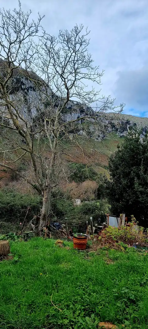 Terreno en venta en Oriñón - Allendelagua