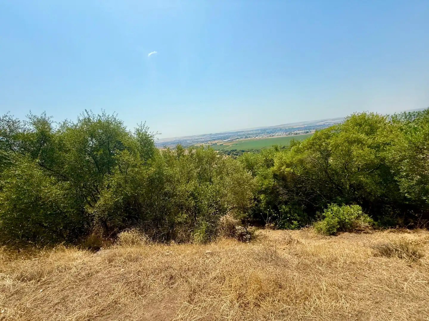Grundstücke und Bauplätze zum Verkauf in Poniente-Norte - Miralbaida - Parque Azahara, imagen 2