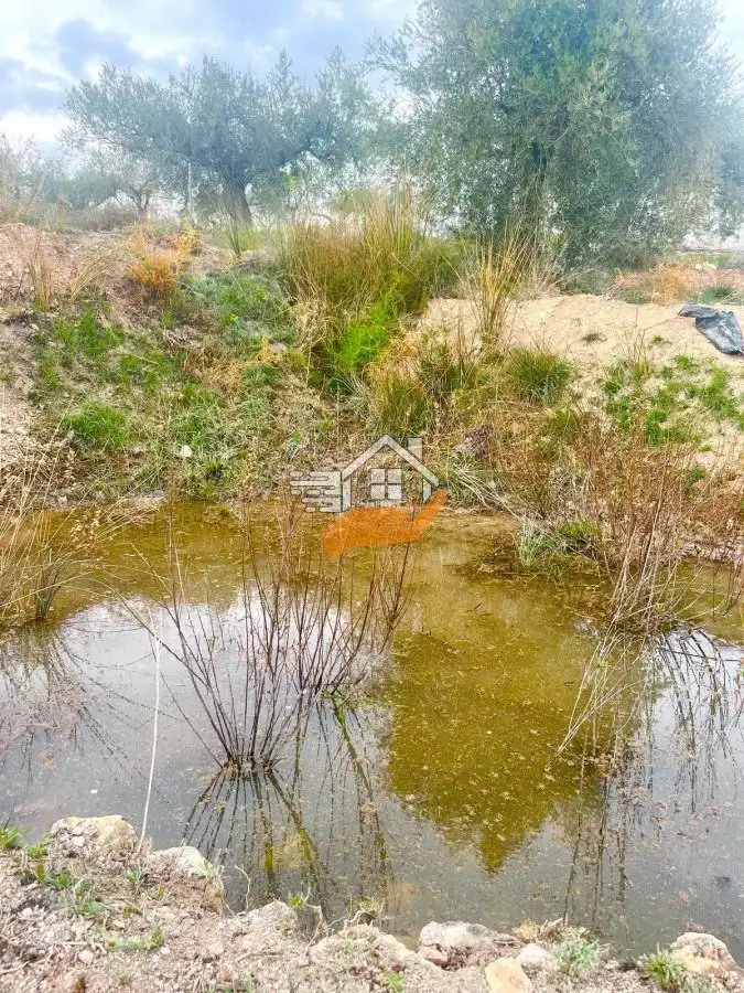 Residential land for sale in Vélez-Rubio, imagen 13