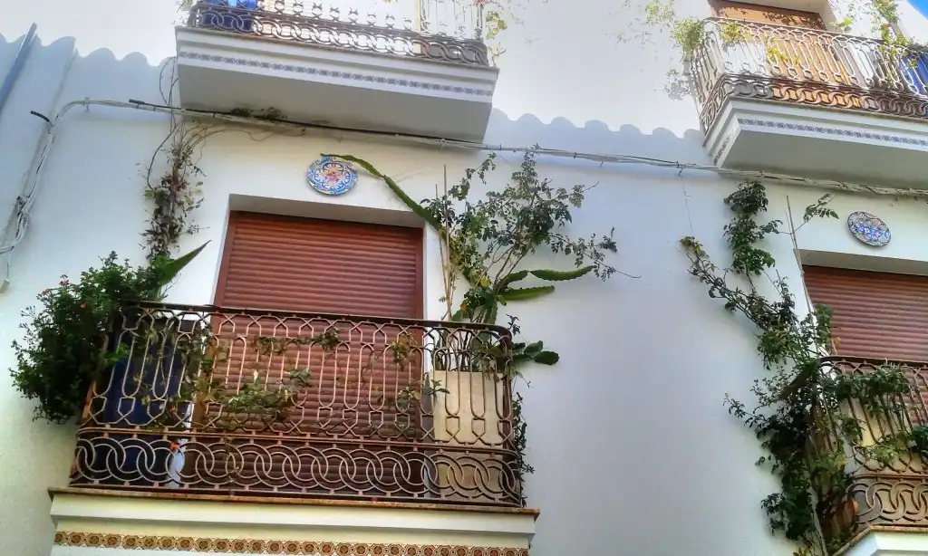 Villa con terrazza in vendita a Alhama de Granada, imagen 22