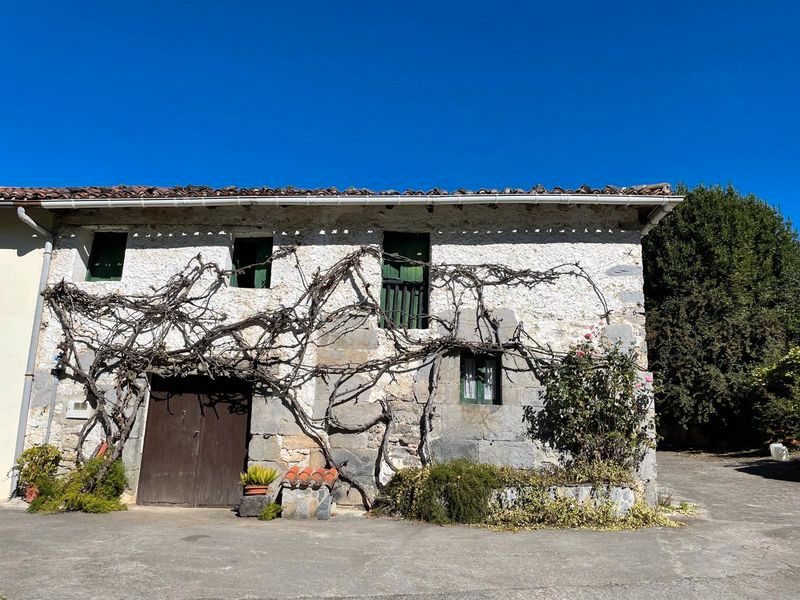 Exterior view of Country house for sale in Altzo