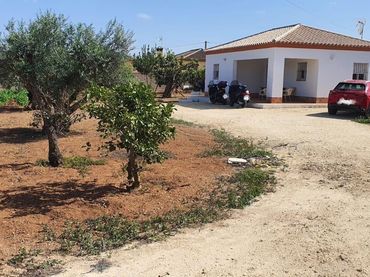 Chalet con piscina en venta en Las Lagunas - Campano