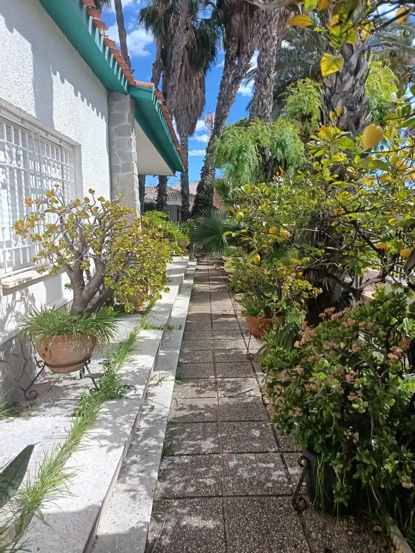 Casa o chalet en venta en Avenida de las Palmeras, Lo Pagán