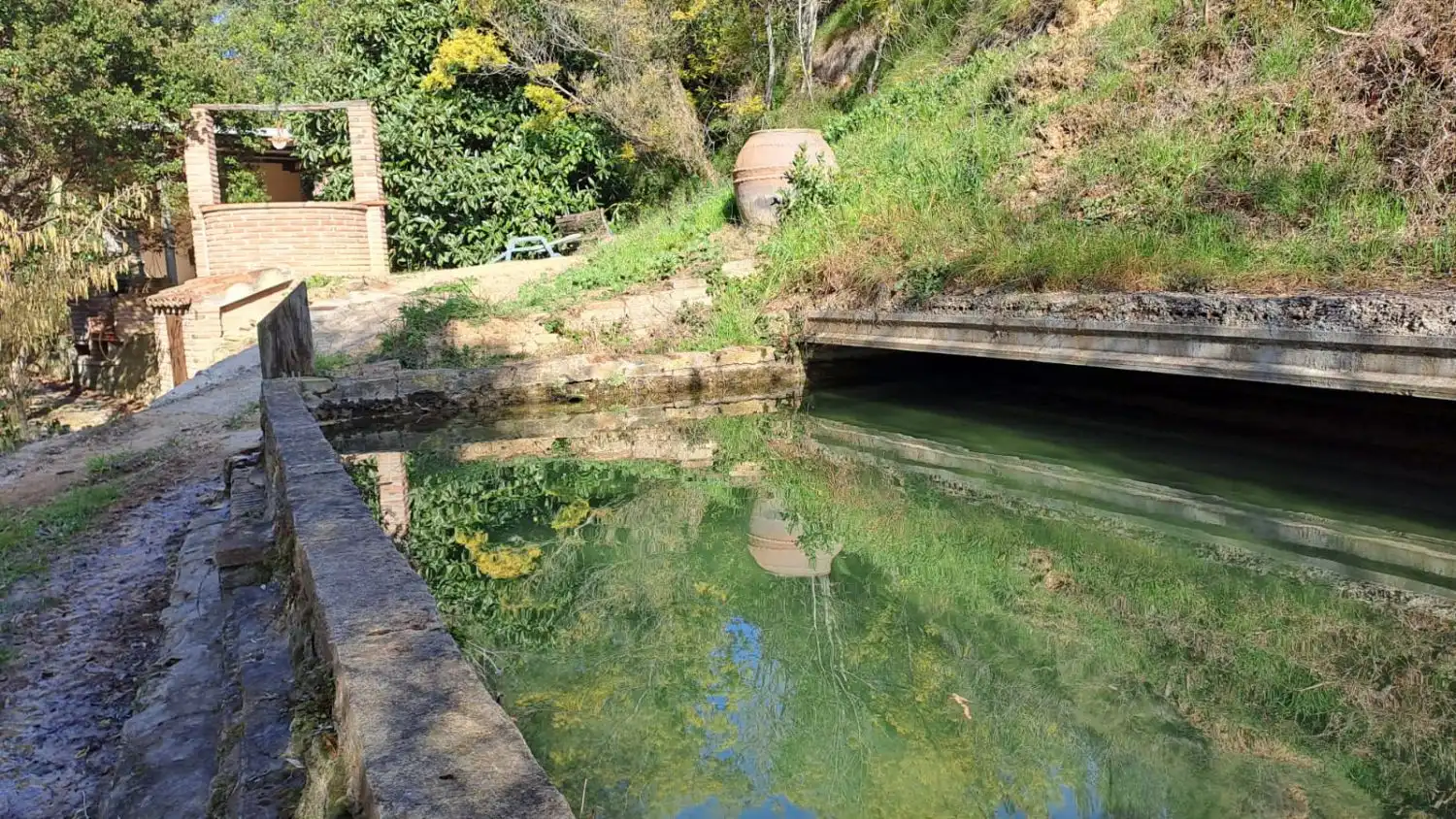 Piscina de Finca rústica en venda en Castellvell del Camp