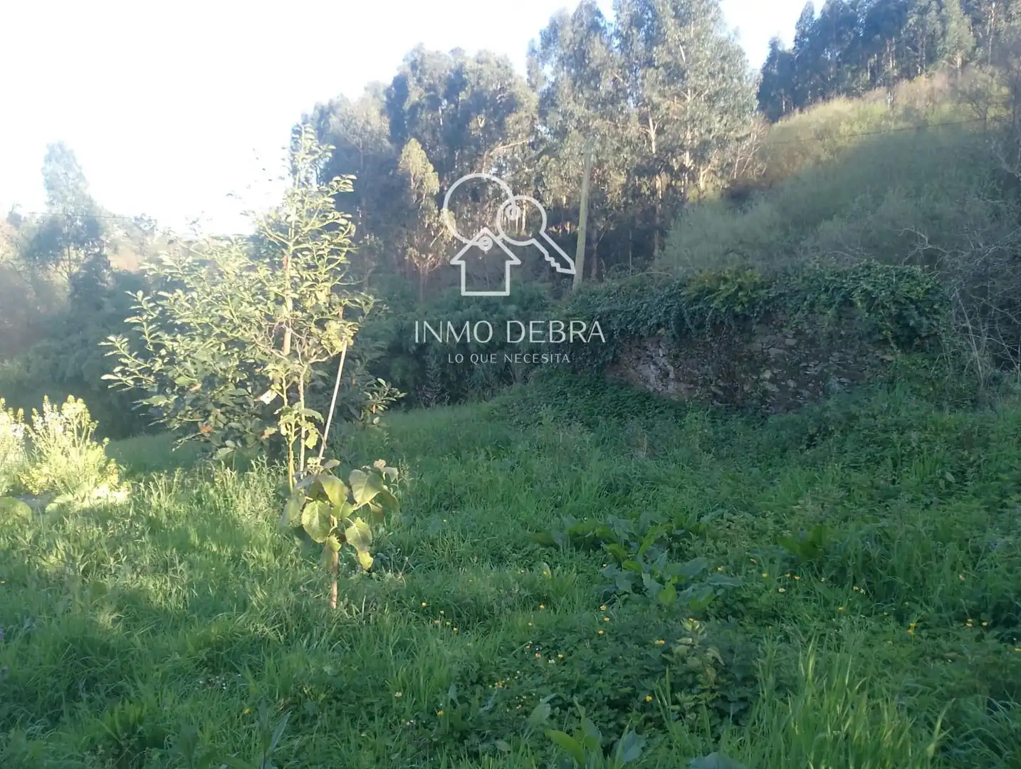 Casa o chalet en venta en Cudillero