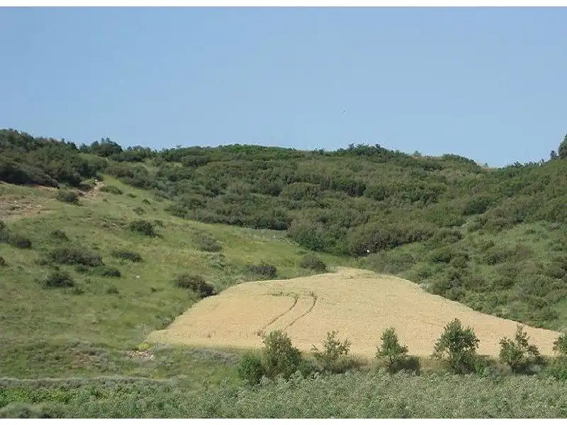 Terreny rústic en venda a Villamediana de Iregua, imagen 2